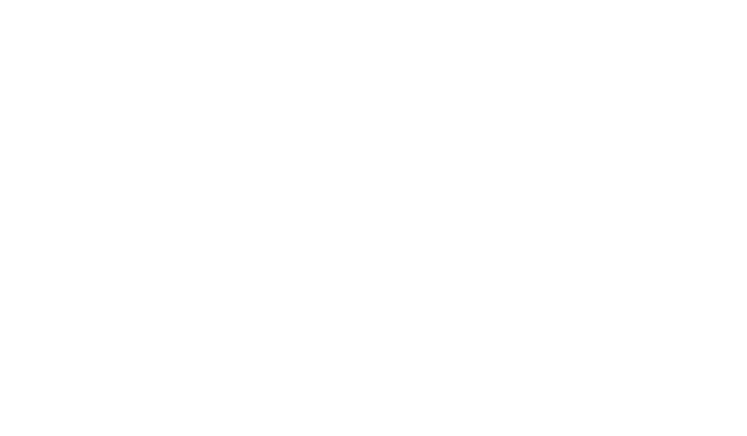 Trust the Hockey Joe